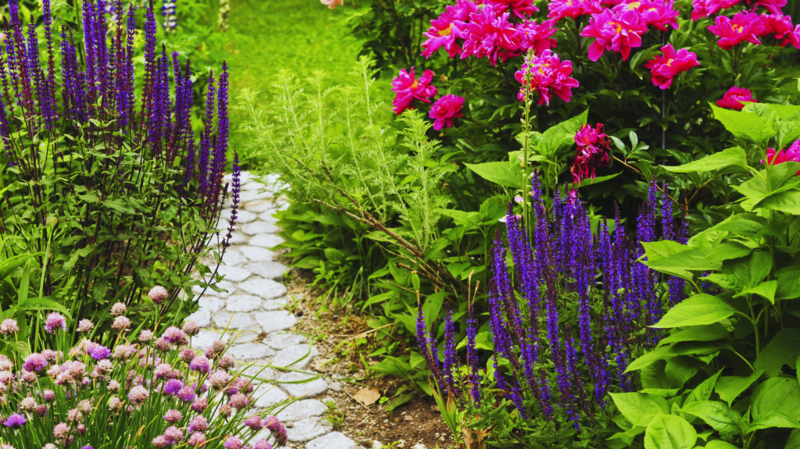 Botanical Garden
